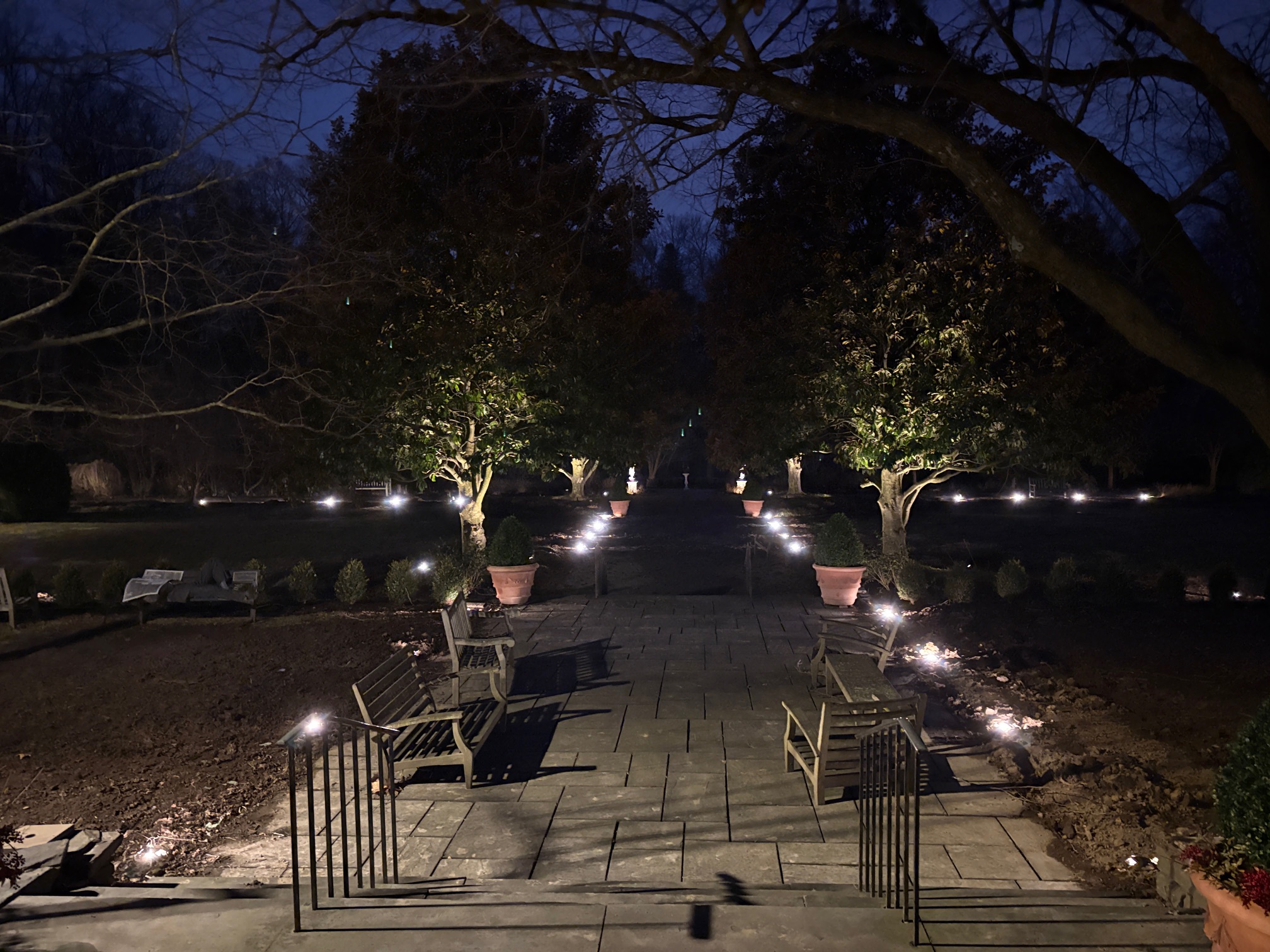 Outdoor landscape lighting - tree uplighting