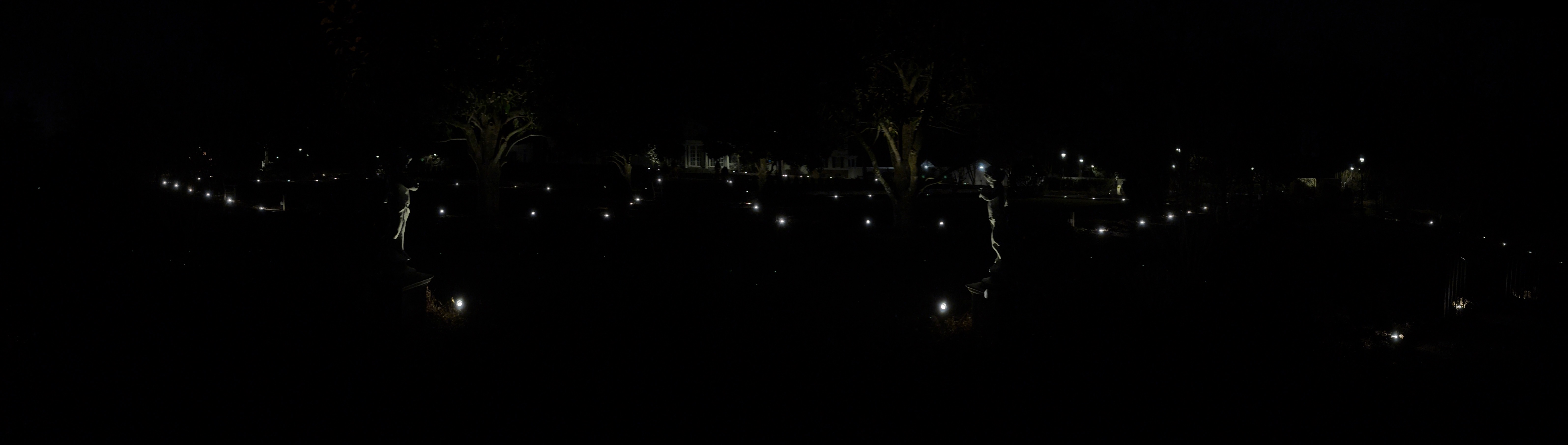 Outdoor landscape lighting - detail