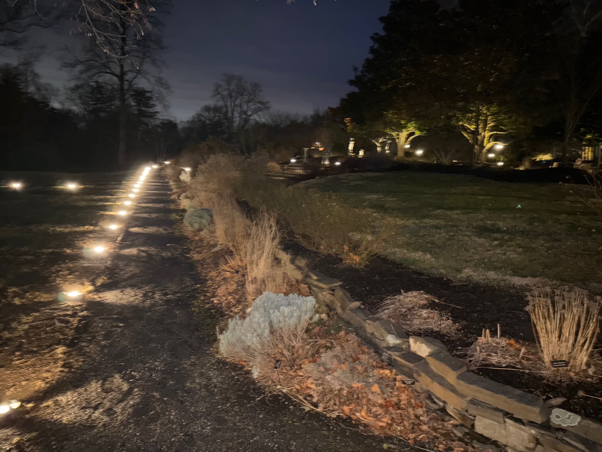 Outdoor landscape lighting - final result