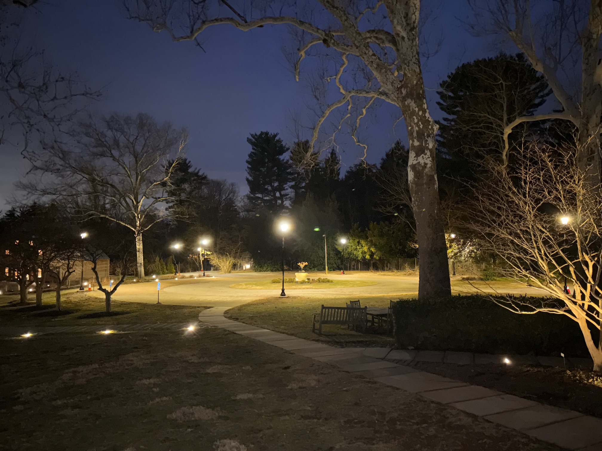 Outdoor landscape lighting - landscape view