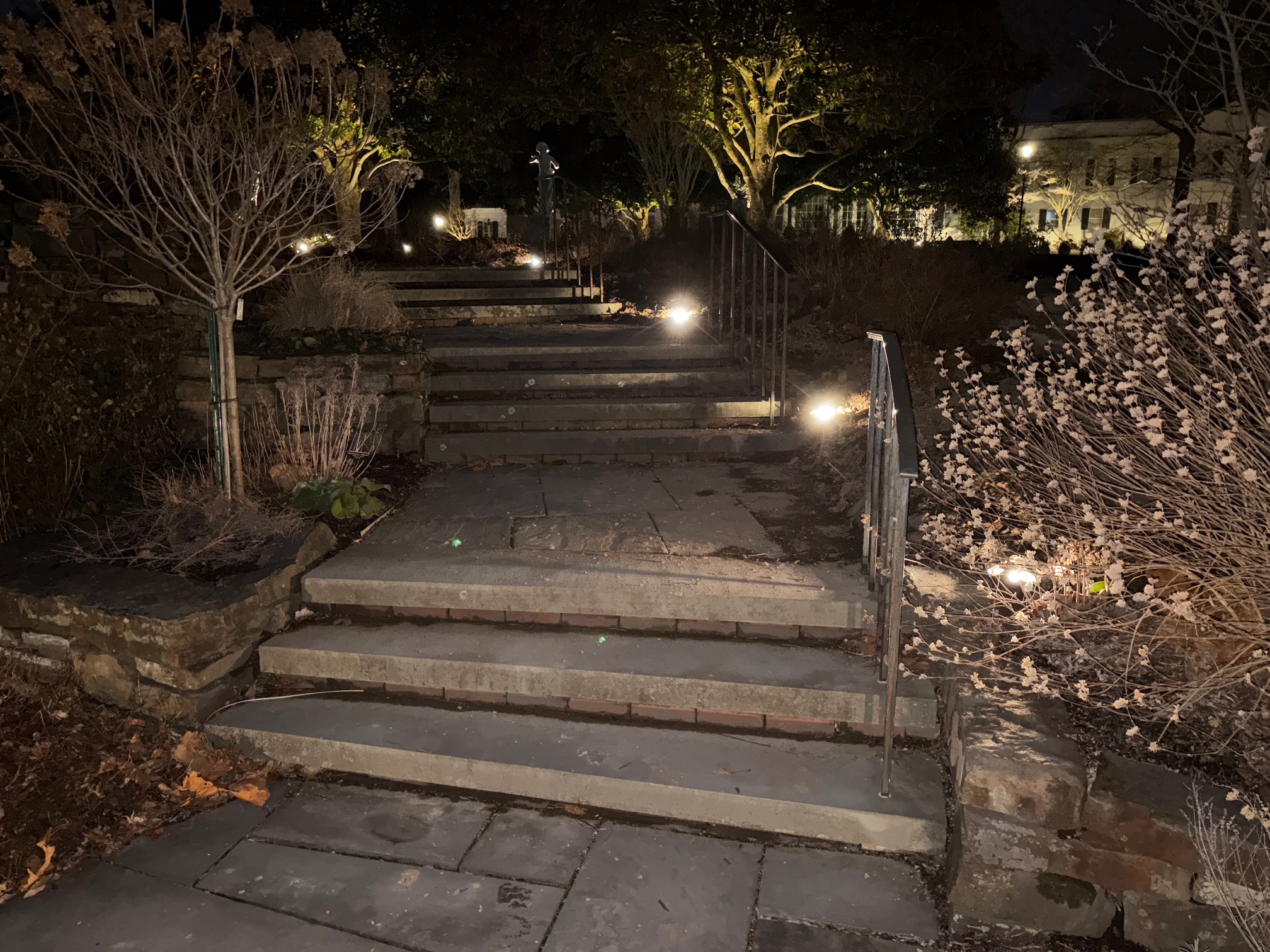 Outdoor landscape lighting - architectural